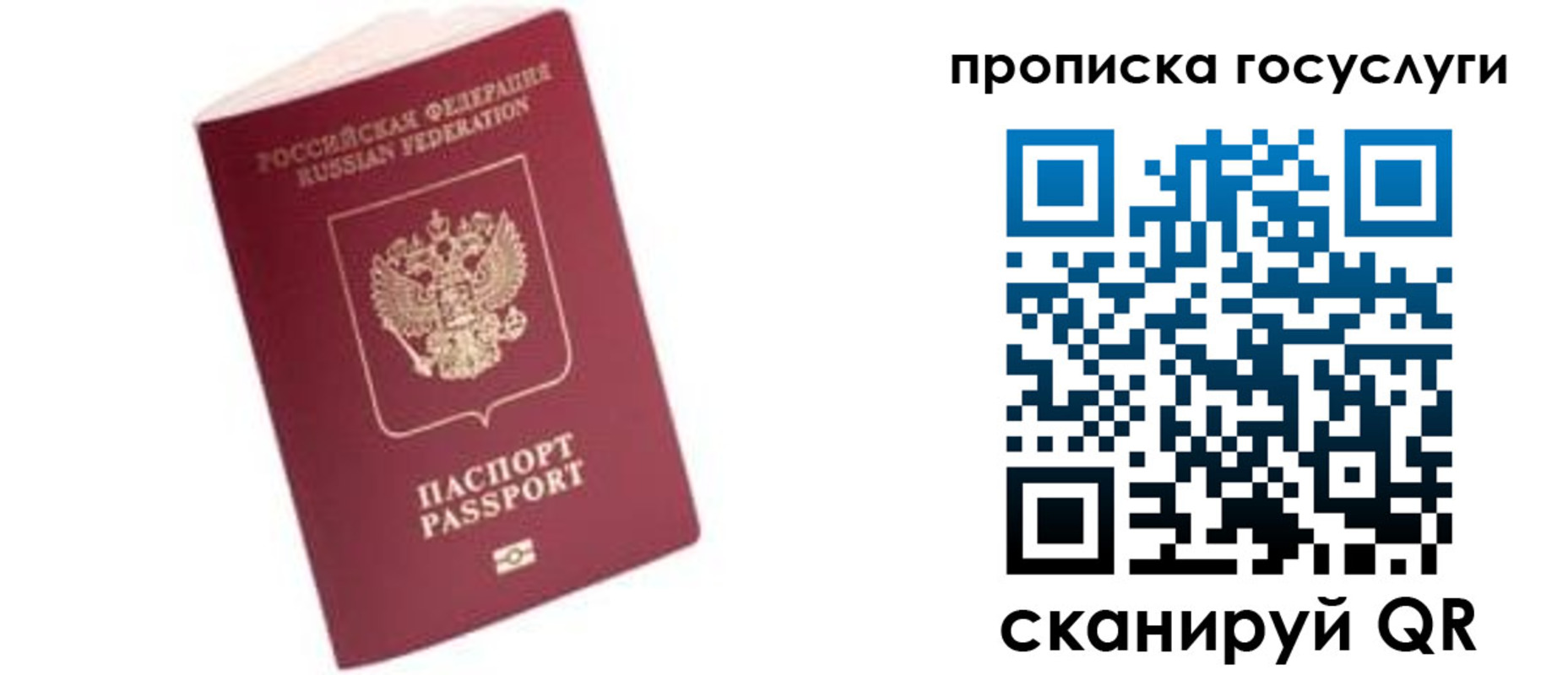 прописка в Ипатово
